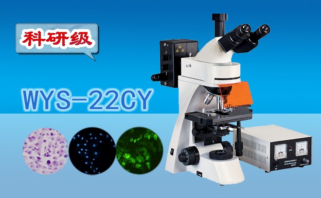 荧光显微镜的使用方法