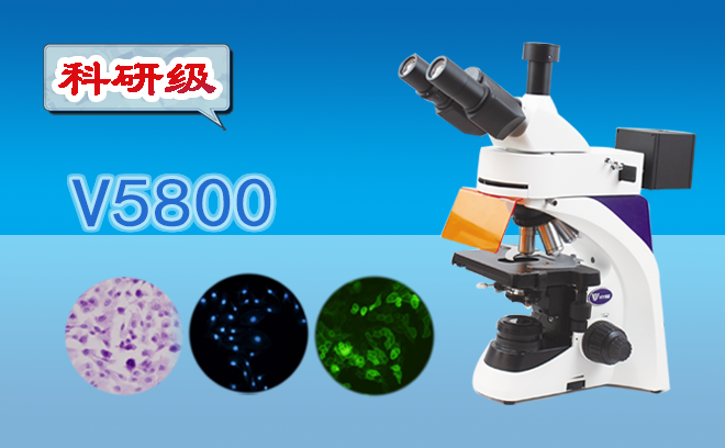 荧光显微镜的使用介绍之荧光显微镜双色滤光片怎么选择